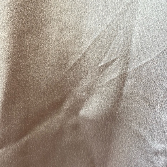 Jenny Yoo Priyanka Dress in Prosecco - Picture 9 of 9